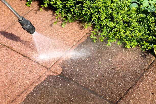 Best Local Pressure Washing Services  in Gaston, SC